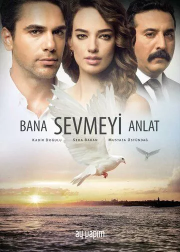 [catlist=21]Турецкий сериал[/catlist][catlist=22]Турецкий фильм[/catlist] Расскажи мне, как любить / Научи меня любить